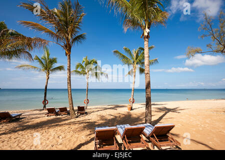 Freie Liegestühle unter Palmen wachsen auf dem Sandstrand. Vinpearl Resort, Insel Phu Quoc, Vietnam. Stockfoto