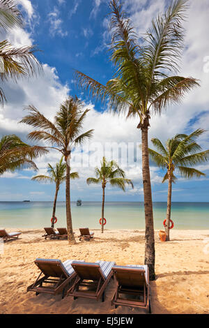 Freie Liegestühle unter Palmen am Sandstrand bei Vinpearl Resort. Insel Phu Quoc, Provinz Kien Giang, Vietnam. Stockfoto