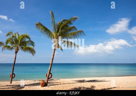 Palmen wachsen auf dem Sandstrand von Vinpearl Resort, Insel Phu Quoc, Provinz Kien Giang, Vietnam. Stockfoto