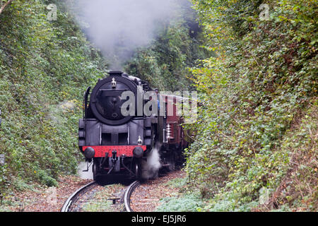 Dampflok zieht eine Güterzug, Hampshire, England, UK. Stockfoto