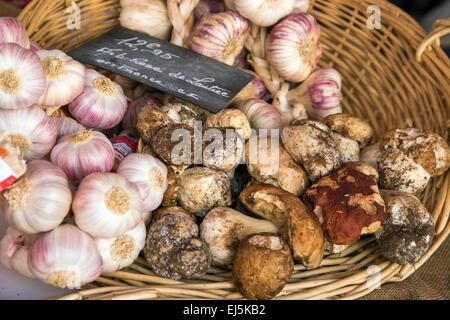 frischer Knoblauch und Pilze im Weidenkorb Display an Bauern-Markt Gemüse Stall Closeup, Frankreich, Europa Stockfoto