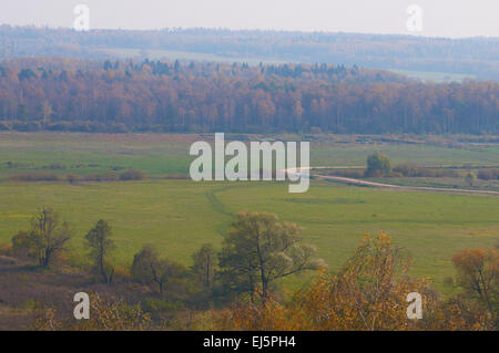 Herbstliche Landschaft. Trübe Aussicht über Feld und Wald Stockfoto