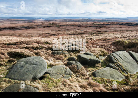 Winter Sonnenlicht auf eine weite von Moor in der Nähe von Snake Pass oben Glossop in Derbyshire. Stockfoto