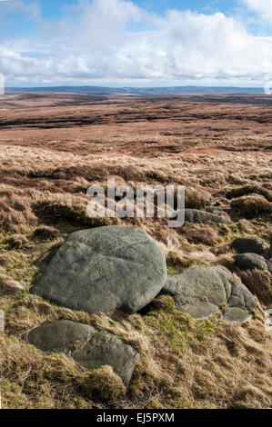 Winter Sonnenlicht auf eine weite von Moor in der Nähe von Snake Pass oben Glossop in Derbyshire. Stockfoto