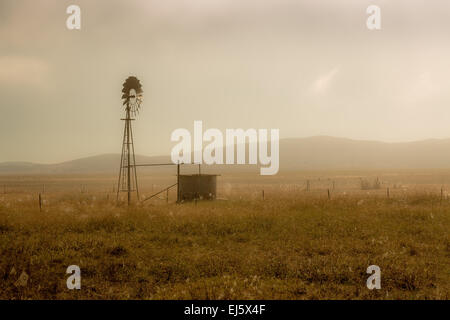 Eine Windmühle und eine Wasser trug Tank auf einen flachen offenen Fläche an einem nebligen Tag Stockfoto