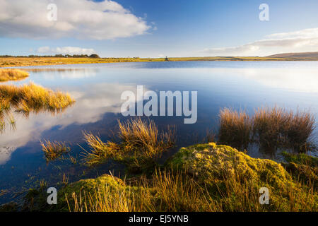 Dozmary Pool See Bodmin Moor Cornwall England. Es ist eine Website, die behauptet wird, um die Heimat der Herrin des Sees. Accord Stockfoto