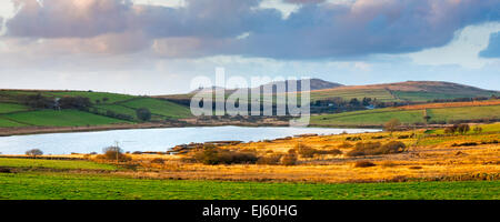 Blick über den Colliford See mit Brown Willy und grobe Tor Hügeln in der Ferne, dem höchsten und zweiten höchsten Punkt in Cornwall Stockfoto