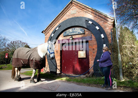 Gonalston, Nottinghamshire, Großbritannien 22. März 2015. Ein 17 Hände hoch, 9 Jahre alten Shire Pferdebesitzer geniesst einen gemütlichen Spaziergang an einem sonnigen Frühlingstag Sonntagnachmittag im Dorf Gonalston.  Das herrliche Arbeitspferd ist außerhalb der alten Schmiede in das malerische Dorf Nottinghamshire abgebildet. Bildnachweis: Mark Richardson/Alamy Live-Nachrichten Stockfoto