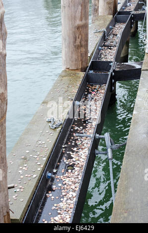 Touristen warten auf die Fähre an der New Yorker Freiheitsstatue Bord werfen Münzen in die Gosse des Docks, New York. Stockfoto