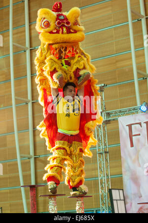 Turin, Italien. 22. März 2015. Lingotto fair "Festival dell'Oriente" vom 20. bis 22. März 2015 und vom 27. bis 30. März 2015 20. März 2015 Löwentanz Süd - Italien Löwe Drachentanz Credit: wirklich Easy Star/Alamy Live News Stockfoto