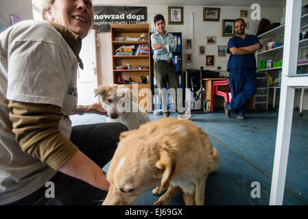 Louise Hastie, Leiter der Nowzad Conrad Lewis Klinik und ihr Team, Kabul, Afghanistan Stockfoto