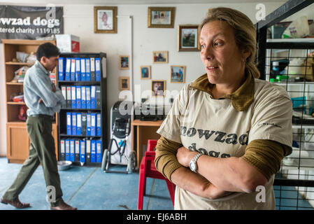 Porträt von Louise Hastie Kopf der Nowzad Conrad Lewis Klinik, Kabul, Afghanistan Stockfoto