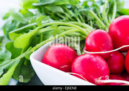 Aus nächster Nähe Foto frische Radieschen mit Greens in eine quadratische weiße Schüssel befestigt. Stockfoto