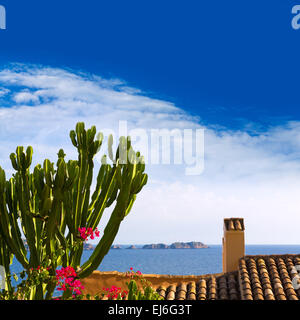 Mallorca Cala Fornells Strand Paguera Peguera Calvia Mallorca Balearen Insel von Spanien Stockfoto