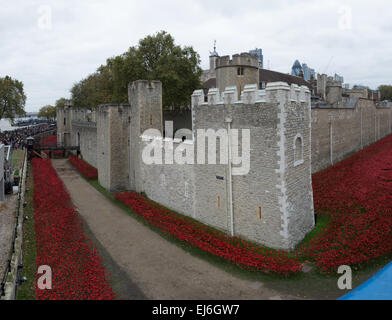 Tower von London Schloss Barbican Pfeil Schleife umgeben von Erinnerung Mohn mit die Welt berühmte Skyline dahinter zeigen Stockfoto
