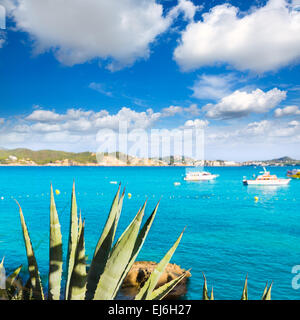 Mallorca Cala Fornells Strand Paguera Peguera Calvia Mallorca Balearen Insel von Spanien Stockfoto