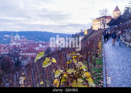 Burg in der Dämmerung, st.-Wenzels Weingut und Hradschin Bezirk. Prag, Tschechische Republik Stockfoto