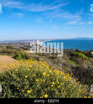 Wildblumen in der Nähe von Overlook erreicht über Los Leones Trail in Pacific Palisades, Kalifornien, mit Blick auf Santa Monica Bay Stockfoto