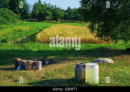 Landschaft im ländlichen Raum. Kleines Feld im Garten. Stockfoto