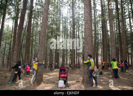 Baum umarmen, 21. März 2015: Mitmachen in einem "Baum umarmen" Event in Korea National Arboretum in Pocheon, nordöstlich von Seoul, Südkorea. Insgesamt 1.226 Personen nahmen an der Veranstaltung zum Gedenken an den internationalen Tag des Waldes am Samstag und es brach die Weltrekorde auf der größten Baum umarmen in einer Minute nach Korea Forest Service (KFS). Bisherige Rekord lag bei 936 Menschen umarmen Bäume im Juli 2013 in Portland, Oregon, USA, sagte KFS. © Lee Jae-Won/AFLO/Alamy Live-Nachrichten Stockfoto