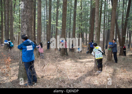 Baum umarmen, 21. März 2015: Mitmachen in einem "Baum umarmen" Event in Korea National Arboretum in Pocheon, nordöstlich von Seoul, Südkorea. Insgesamt 1.226 Personen nahmen an der Veranstaltung zum Gedenken an den internationalen Tag des Waldes am Samstag und es brach die Weltrekorde auf der größten Baum umarmen in einer Minute nach Korea Forest Service (KFS). Bisherige Rekord lag bei 936 Menschen umarmen Bäume im Juli 2013 in Portland, Oregon, USA, sagte KFS. © Lee Jae-Won/AFLO/Alamy Live-Nachrichten Stockfoto