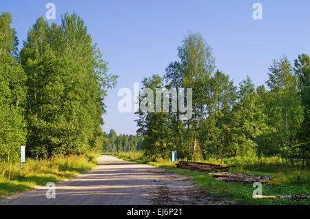 Die Straße in der Nähe von Entwaldung. Die gestapelten Protokolle in der Nähe der Straße. Stockfoto