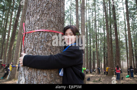 Baum umarmen, 21. März 2015: Mitmachen in einem "Baum umarmen" Event in Korea National Arboretum in Pocheon, nordöstlich von Seoul, Südkorea. Insgesamt 1.226 Personen nahmen an der Veranstaltung zum Gedenken an den internationalen Tag des Waldes am Samstag und es brach die Weltrekorde auf der größten Baum umarmen in einer Minute nach Korea Forest Service (KFS). Bisherige Rekord lag bei 936 Menschen umarmen Bäume im Juli 2013 in Portland, Oregon, USA, sagte KFS. © Lee Jae-Won/AFLO/Alamy Live-Nachrichten Stockfoto