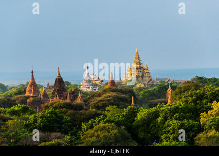 Antike Tempel und Pagoden steigt aus dem Dschungel, Bagan, Mandalay Region, Myanmar Stockfoto