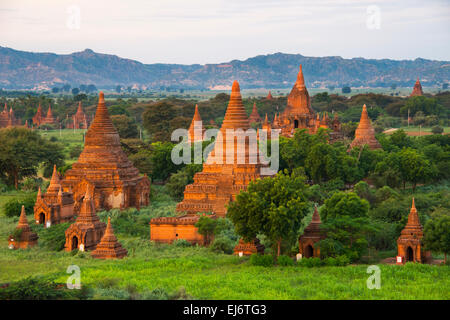 Antike Tempel und Pagoden steigt aus dem Dschungel bei Sonnenaufgang, Bagan, Mandalay Region, Myanmar Stockfoto