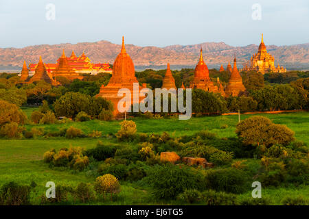 Antike Tempel und Pagoden steigt aus dem Dschungel bei Sonnenaufgang, Bagan, Mandalay Region, Myanmar Stockfoto