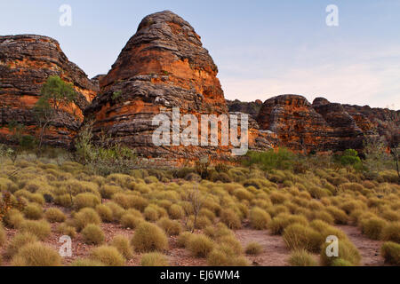 Spinifex Gras- und Bienenstock-förmige Kegelkarst-Türme im Purnululu National Park, (Bungle Bungles) Australien Stockfoto