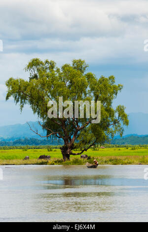 Kanu auf dem Fluss Kaladan, zwischen Sittwe und Mrauk-U, Rakhine State in Myanmar Stockfoto