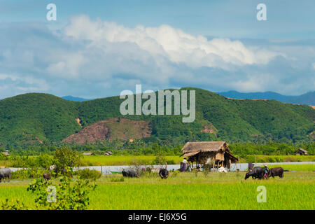 Haus im Dorf am Fluss Ufer des Kaladan zwischen Sittwe und Mrauk-U, Rakhine State in Myanmar Stockfoto