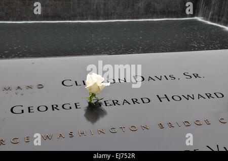 Weiße rose am Mahnmal Pools in Twin Towers in New York City Stockfoto