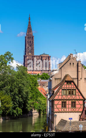 La Petite France Häuser und Notre-Dame gotische Kathedrale aus dem 14. Jahrhundert, Straßburg, Elsass, Frankreich, Europa Stockfoto