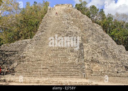 Pyramide von Coba Quintana Mexiko Stockfoto