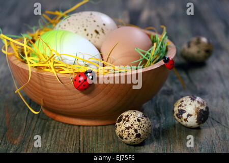 Ostereier in einer Holzschale. Stockfoto