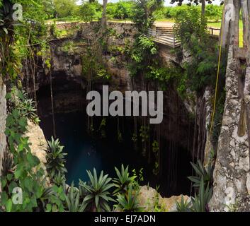 Cenote San Lorenzo Oxman in der Nähe von Valladolid, Mexiko Stockfoto