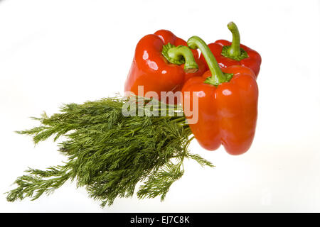 bulgarische Paprikaschoten und Grün der Fenchel Stockfoto