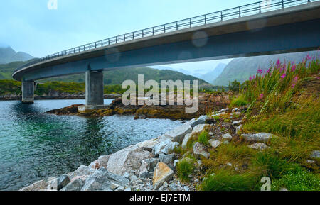 Europäisches Nordmeer Nachtansicht und Brücke Stockfoto