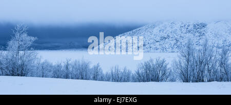 schlechtes Wetter, See Tornetraesk, Lappland, Schweden Stockfoto