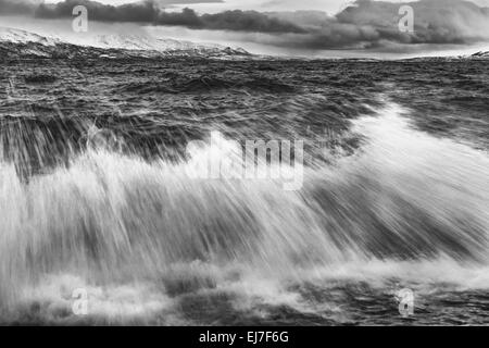 Brecher, See Tornetraesk, Lappland, Schweden Stockfoto