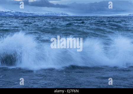 Brecher, See Tornetraesk, Lappland, Schweden Stockfoto