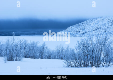 schlechtes Wetter, See Tornetraesk, Lappland, Schweden Stockfoto