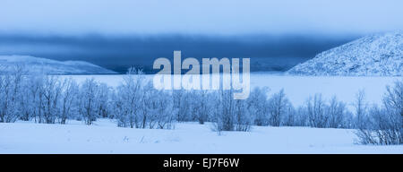 schlechtes Wetter, See Tornetraesk, Lappland, Schweden Stockfoto