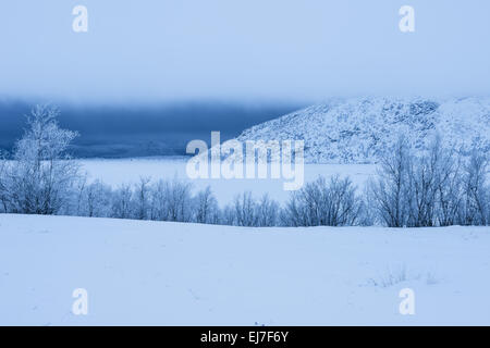 schlechtes Wetter, See Tornetraesk, Lappland, Schweden Stockfoto