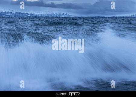 Brecher, See Tornetraesk, Lappland, Schweden Stockfoto