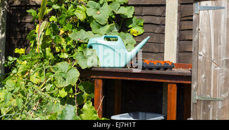 Pottingbank mit Gießkanne und Samen Tabletts mit einem Hintergrund von Gemüse Pflanzen Stockfoto