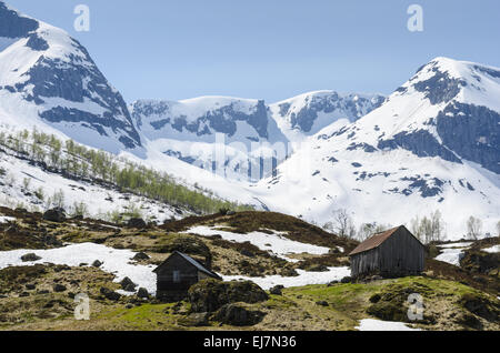 Frühling, Sogndal, Sogn Og Fjordane, Norwegen Stockfoto