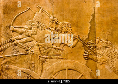 Detail der assyrischen Skulpturen Relief des königlichen Löwenjagd.  C645-635 v. Chr.. Ursprünglich im Raum C des Nord-Palast, Ninive Stockfoto